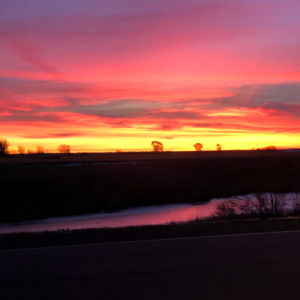 Meet your Posher, Janet